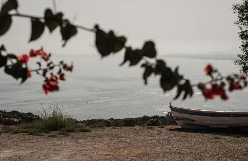 Anemos Studio - Foto 67