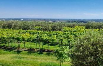 Agriturismo CarpinoNero - Photo 20