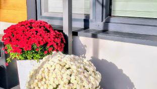 Noclegi, pokoje, kwatery "Nad Bzurą" - Foto 4