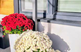 Noclegi, pokoje, kwatery "Nad Bzurą" - Foto 4