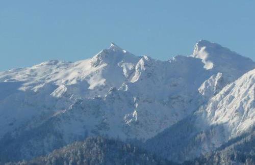 Ferienhaus Mayr - Ferienwohnung Bergblick - Foto 32