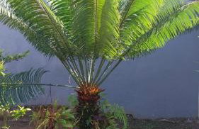 Recanto Fernandes - Foto 7