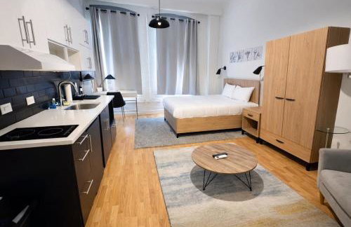 Pratt St Brand New Studio Loft Elevator Building - Foto 18