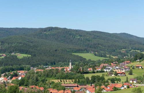 Wellness Ferienwohnungen Zellertalblick - Foto 12