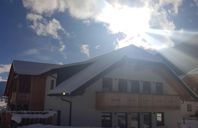 David Suiten - Foto 51