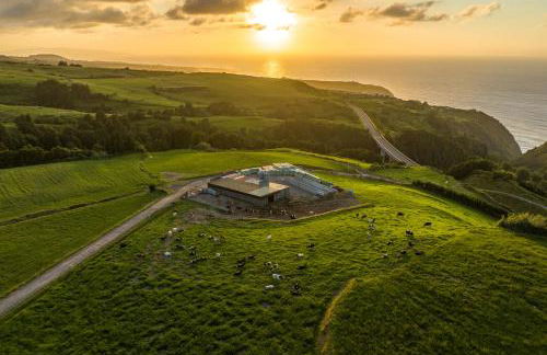 Costa's Guest House - Photo 23