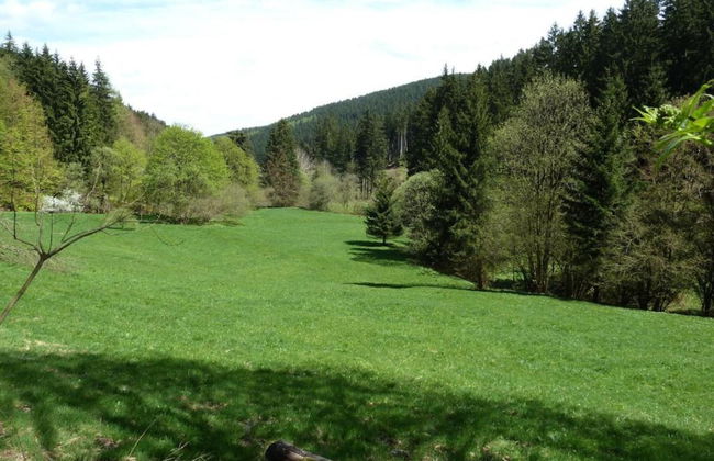 Charming Forest Escape for Two - Foto 34