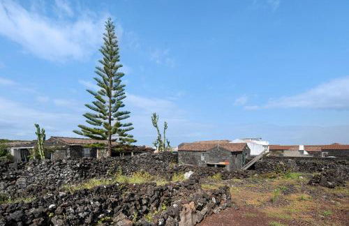 Adega Maciel - Photo 26