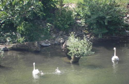 Residence Colombini - Foto 80