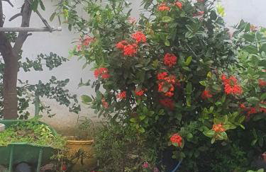 Casa acomodação em Araruama - Foto 27