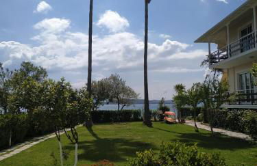 Two Palm Trees Apartment - Foto 18