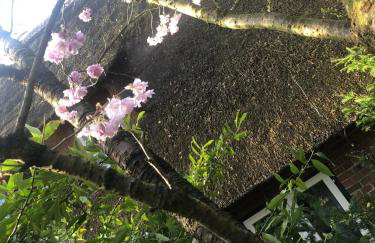 Bücherträume - Foto 22