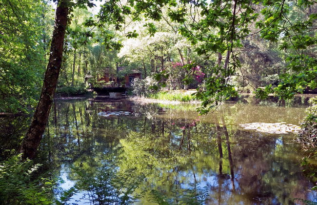 Delightful Chalet in Opglabbeek near Lake - Foto 28