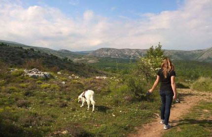 Les Mas d'Azur Appartement - Foto 55