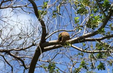 Lindo Apto 2/4 em Guarajuba - Foto 33