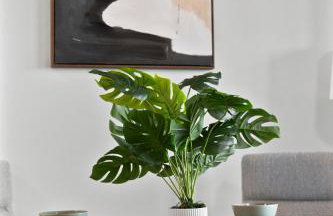 Furnished Luxury Apartment Next to Harvard Stadium - Foto 43