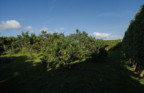 Quinta do Ferreiro - Photo 61