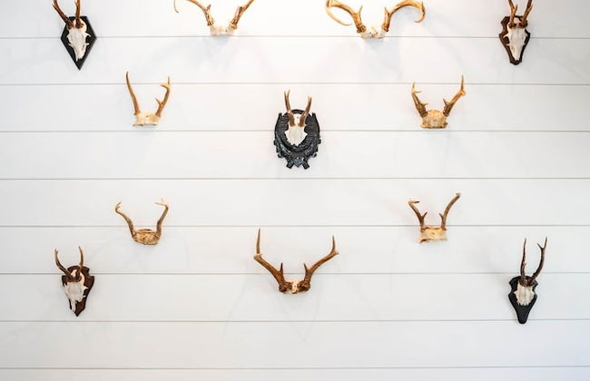 Cottages at Julep Farms - Photo 38