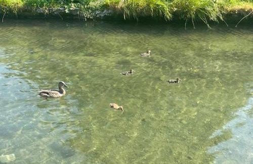 The Forge - Photo 29