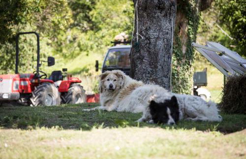 Podere Groppini - Foto 10