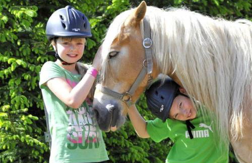 Haflinger Reiterhof Meura - Foto 18