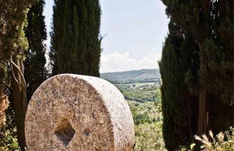 Agriturismo Podere Carducci - Foto 6