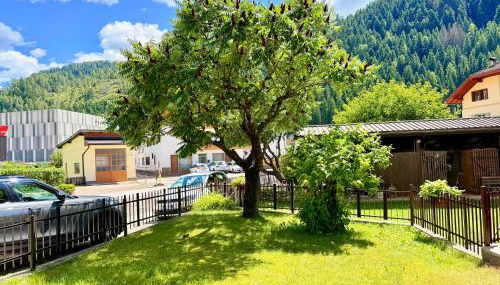 Alberi di Fiemme - Foto 3, Garden view