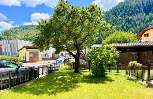 Alberi di Fiemme - Foto 3