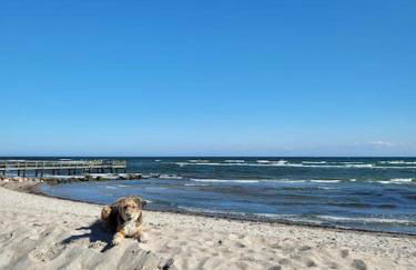 Ruhige Terrassenwohnung in Strandnähe Sierksdorf für bis zu 4 Personen - Foto 19