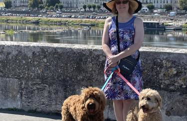 La Maison Tournesol - 3 bedroom house with large garden near Saumur - Photo 30