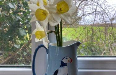 Idyllic Cornish Retreat At Puffin Lodge - Foto 16