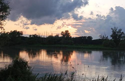 Casa Vacanze Nel Delta del Po - Foto 7