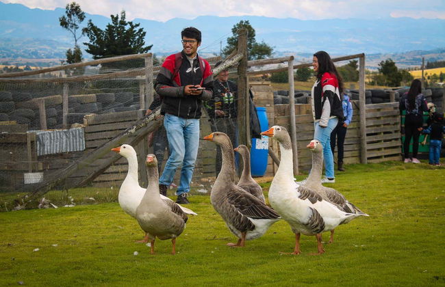 Rural Adventure Tour in Tunja - Photo 2