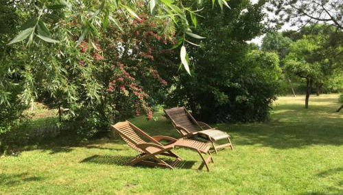 Ferienhaus in Bartelshagen II - Foto 5