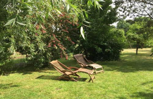 Ferienhaus in Bartelshagen II - Foto 5