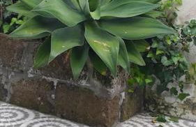 Casa Império - Azorean Boutique House - Photo 7