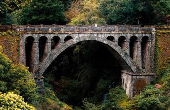 Pana House - Photo 69