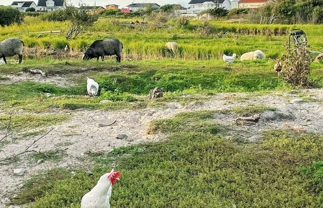 3 Person Holiday Home in Ockero - Photo 17