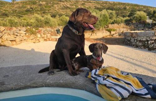 Casa da Curva - Foto 47