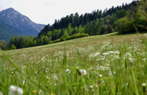 Ferienwohnung Pramstaller - Foto 17
