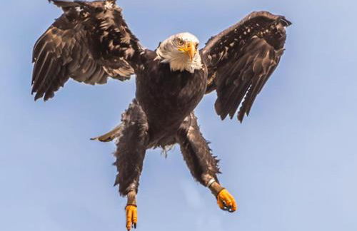 FeWo Charlotte - Foto 39