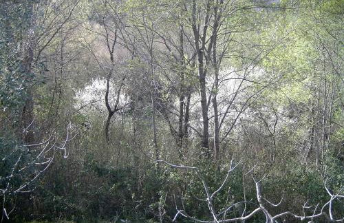 Agriturismo le Cammarose - Foto 60