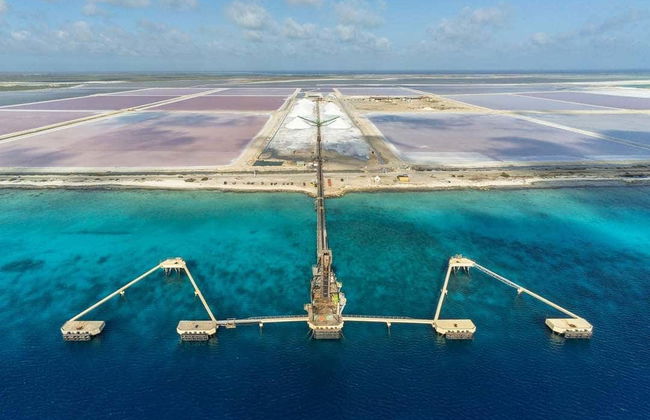 Tour del sud di Bonaire - Foto 3