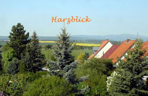 Ferienhaus "Harzblick" - Foto 1