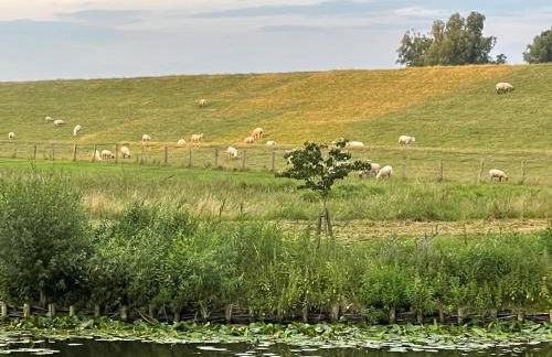 Bielenberg 37 - Foto 44