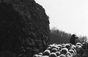 Pé na Aldeia - Foto 32