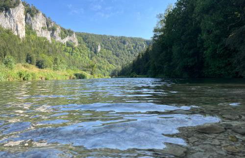 ZwergDackelAdlerHirsch - Foto 37