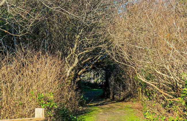 Puffin Condo 21 in Moclips - Foto 47