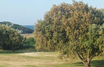 Appartement vue mer exceptionnelle à 100m très belle plage - Foto 16