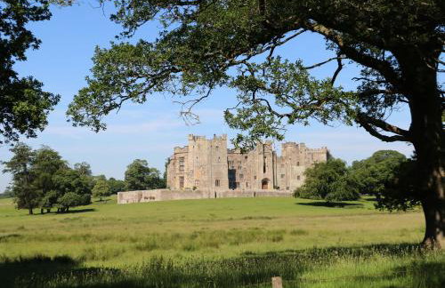Bracken Fern - Photo 35